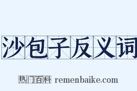 沙包子反义词是什么意思的图片